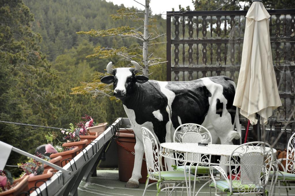 Hotel Amoretes La Molina  Zewnętrze zdjęcie